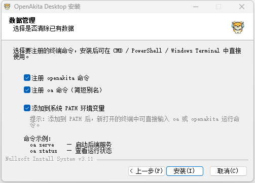 安装向导 - 选择要注册的终端命令