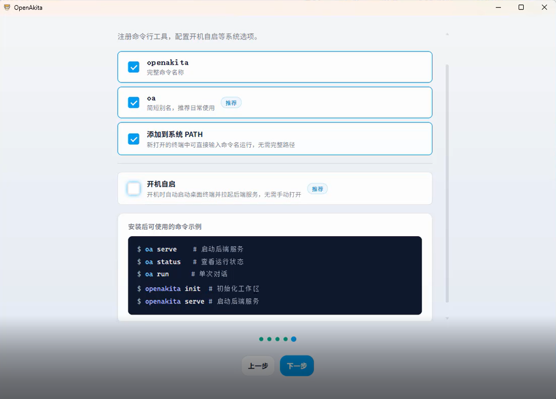 配置向导 - 配置系统选项